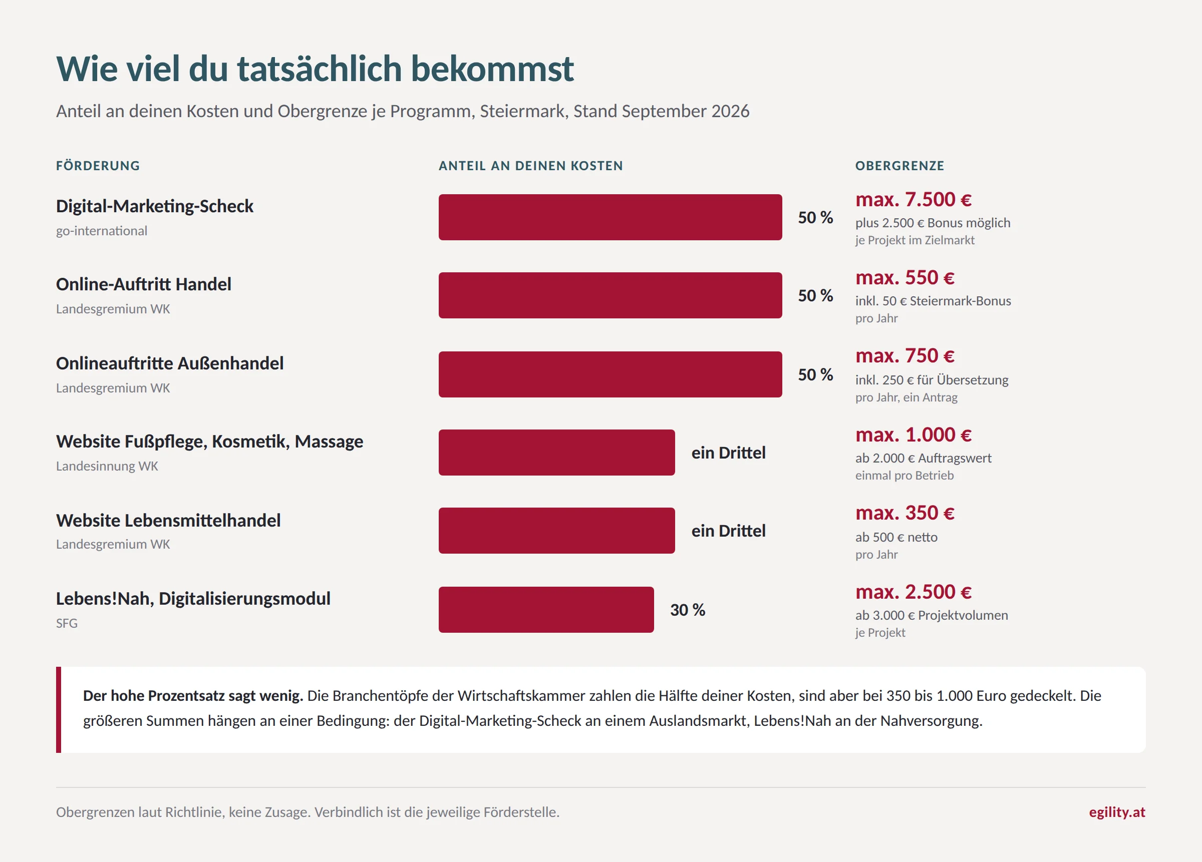 Vergleich der sechs Förderungen für Websites in der Steiermark: Anteil an den eigenen Kosten, Obergrenze in Euro und Zeitraum je Programm